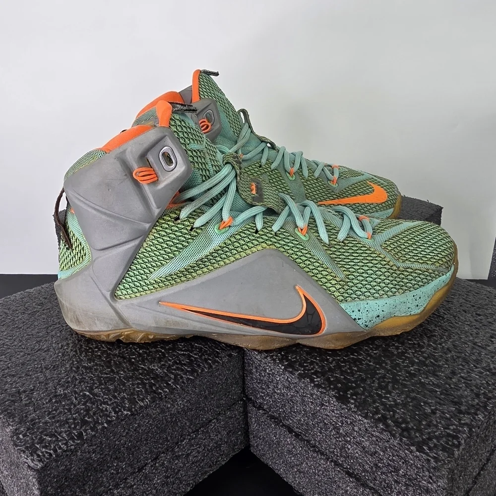 Nike Shoes LeBron 12 XII 